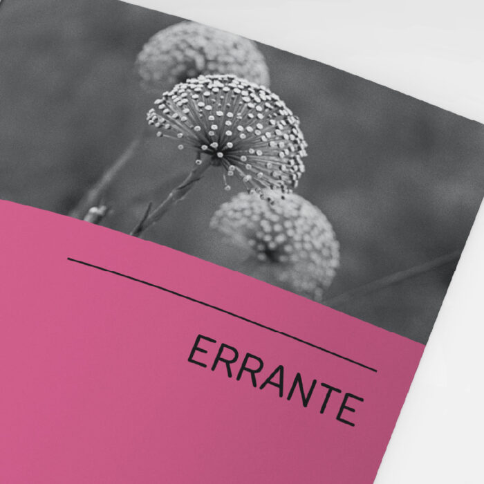 Fotolivro Errante - Image 2