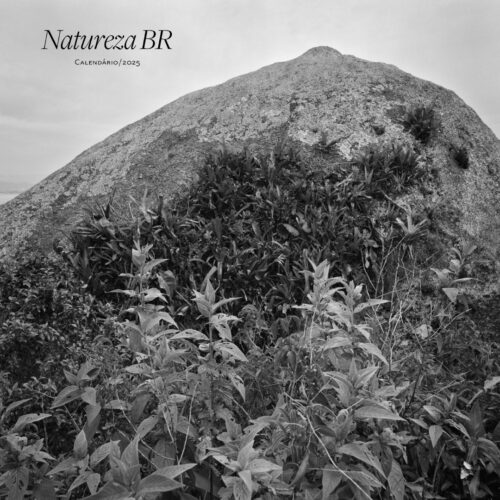 Natureza BR – Calendário 2025