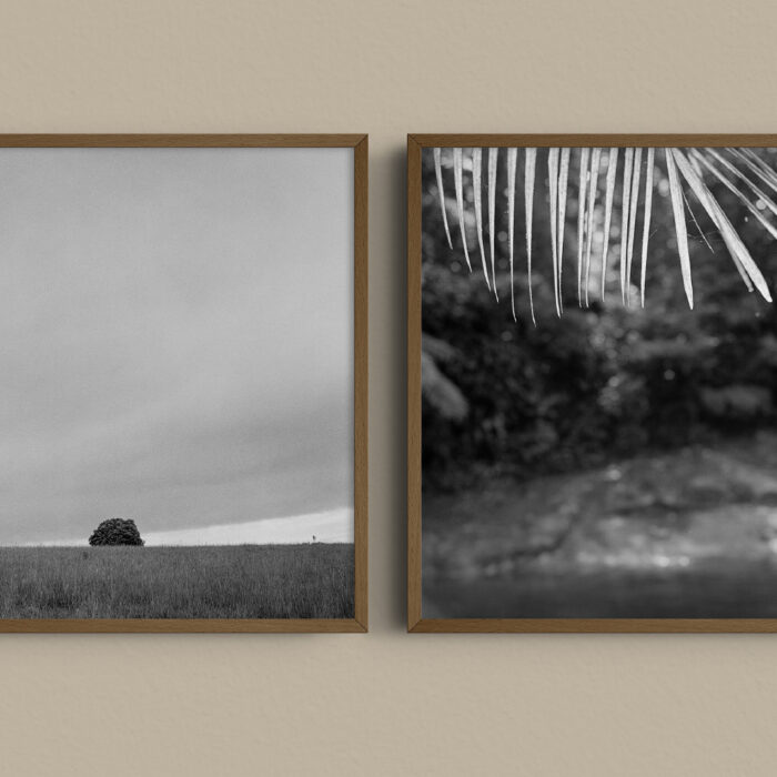Natureza BR – Calendário 2025 - Image 10