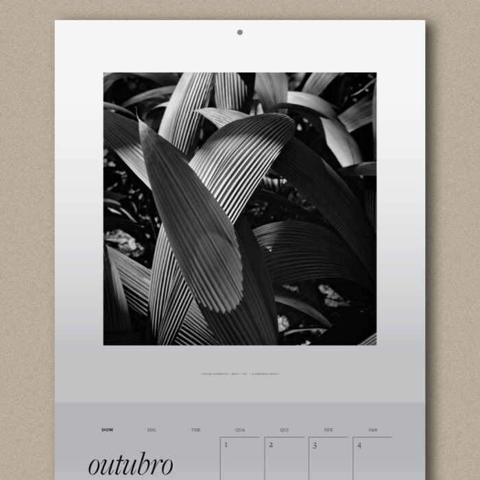 Natureza BR – Calendário 2025 - Image 4